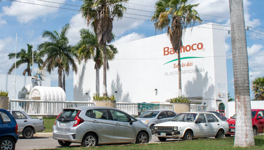 Cliente Bachoco